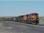 KCS 4622
